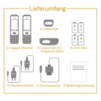 Gigaset Family A Duo - 2 schnurlose Telefone mit Anrufbeantw